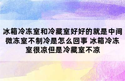 冰箱冷冻室和冷藏室好好的就是中间微冻室不制冷是怎么回事 冰箱冷冻室很凉但是冷藏室不凉